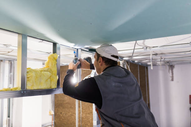 Best Insulation Installation Services in Doffing, TX