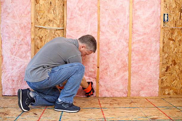 Best Insulation Installation Services in Doffing, TX